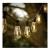 Girlanda ogrodowa 20 LED 20m 1W łańcuch biała ciepła IP65_4