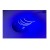 Taśma LED COB niebieska liniowa 480LED/m, 12V, rolka 5m_2