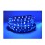 Taśma LED LEDline PRO RGB 300 5060 IP20 5m niebieski