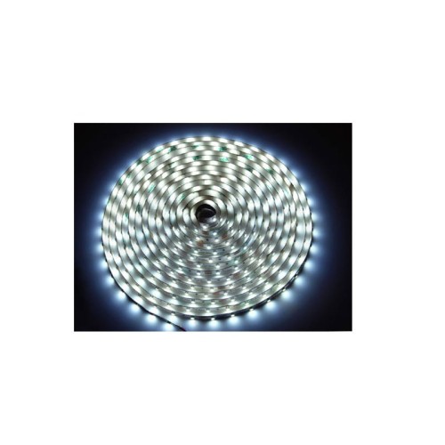 Taśma LED 300 3528 biała zimna IP20