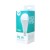 forever_Light__RTV003463
