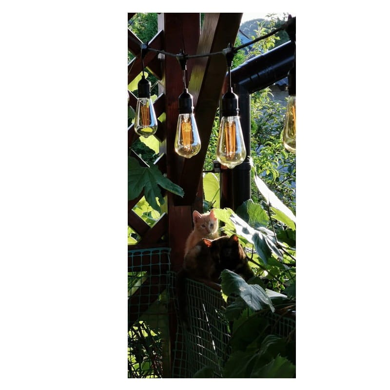 Lampa, oprawa zwieszana, girlanda 10xE27 długość 5m ogród
