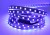 Taśma LED RGB 300 5050 niewodoodporna IP20 - 1m fioletowy