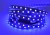 Taśma LED RGB 300 5050 niewodoodporna IP20 - 1m niebieski
