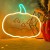 Neon dekoracyjny LED PLEXI DYNIA Z OGONKIEM pomarańczowo zielona + USB_1