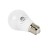 Żarówka LED LEDline E27 8W A60