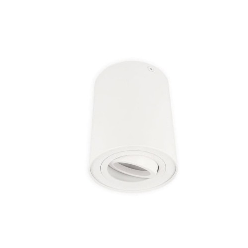 Oprawa sufitowa natynkowa punktowa okrągła ruchoma ROLLO - biały mat