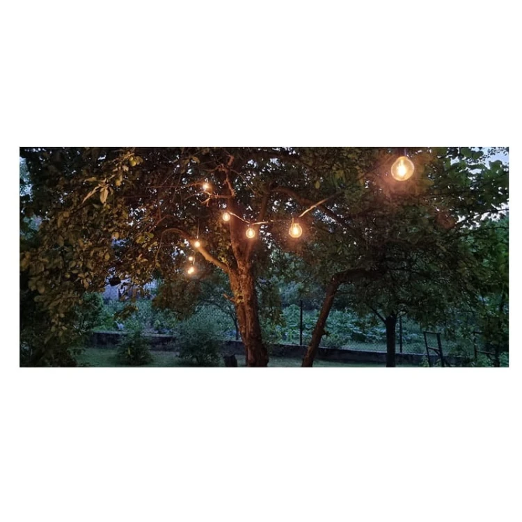 Lampa,-oprawa-zwieszana,-girlanda-10xE12-długość-5,5m-+-10-sztuk-żarówek-0,5W-G40 na drzewie