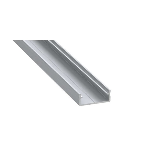PROFIL nawierzchniowy srebrny anodowany typ DUAL - 1 metr