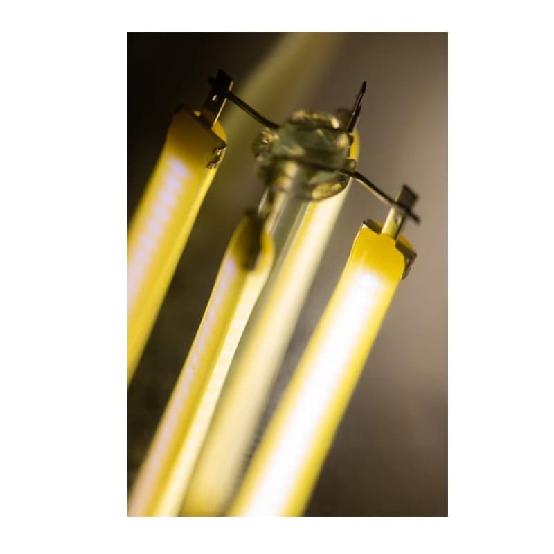 Żarówka LED E14 C35 7W świeczka Filament