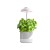 Lampa do roślin Grow LED VERDI 5W
