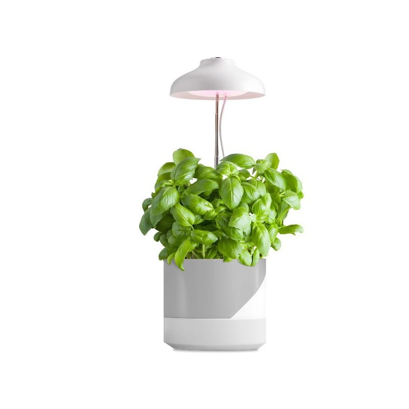 Lampa do roślin Grow LED VERDI 5W