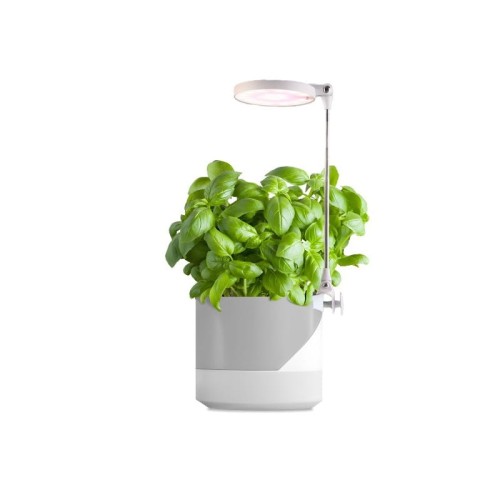 Lampa do roślin Grow LED VERDI 10W