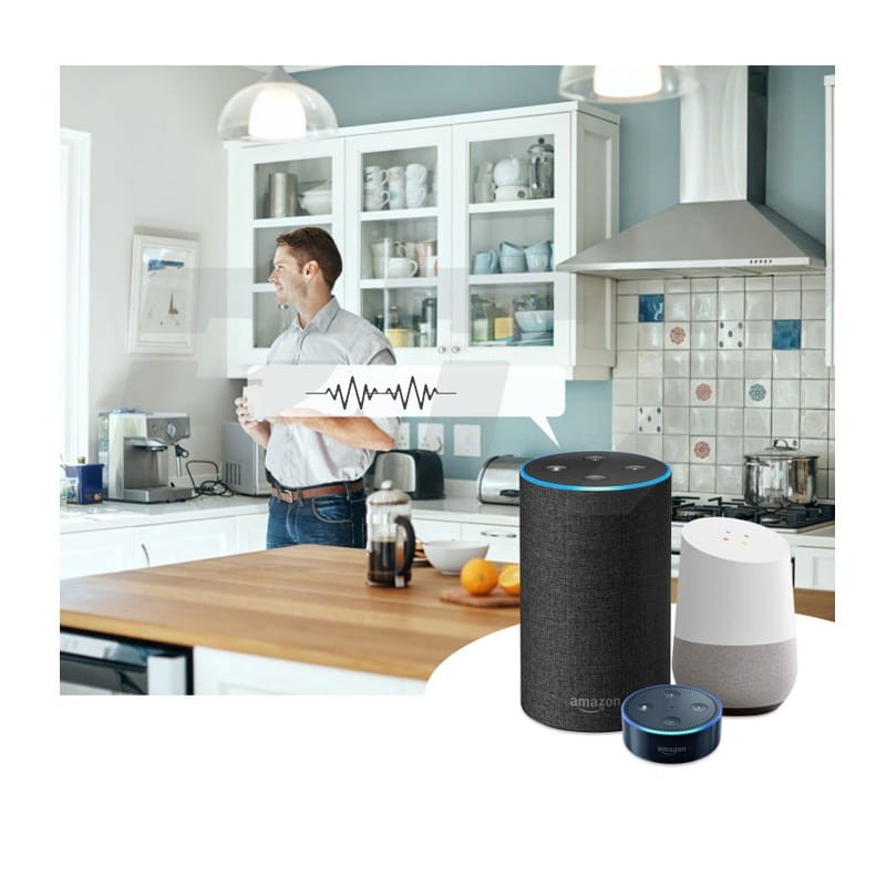 sterownik RTX WRS1LN-MR