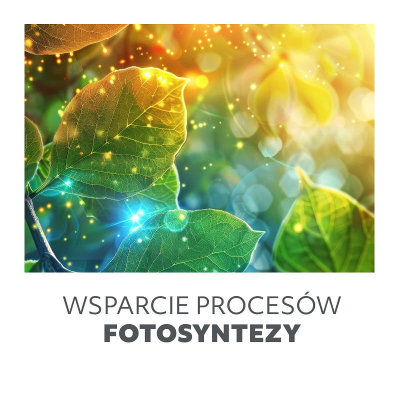 lampa wspierająca fotosyntezę 15W