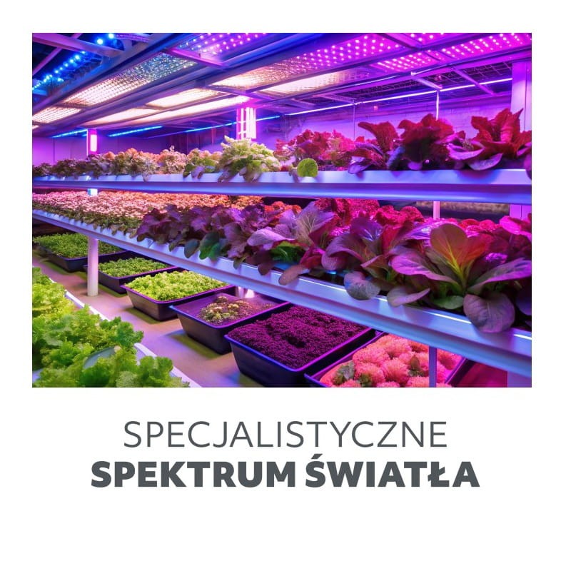 lampa specjalistyczna do wzrostu roślin