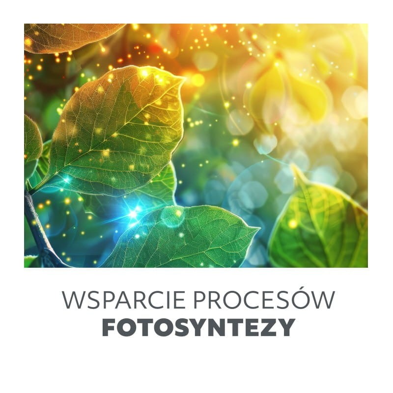 żarówka wspierająca proces fotosyntezy 8W