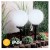 Lampa ogrodowa solarna 20cm ATRIS wbijana kula 6500K