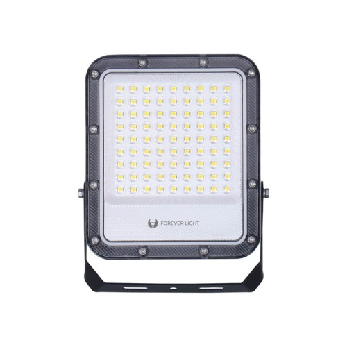 Naświetlacz LED PROXIM+ 50W IP65 - biały zimny