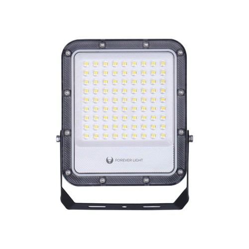 Naświetlacz LED PROXIM+ 50W IP65 - biały zimny