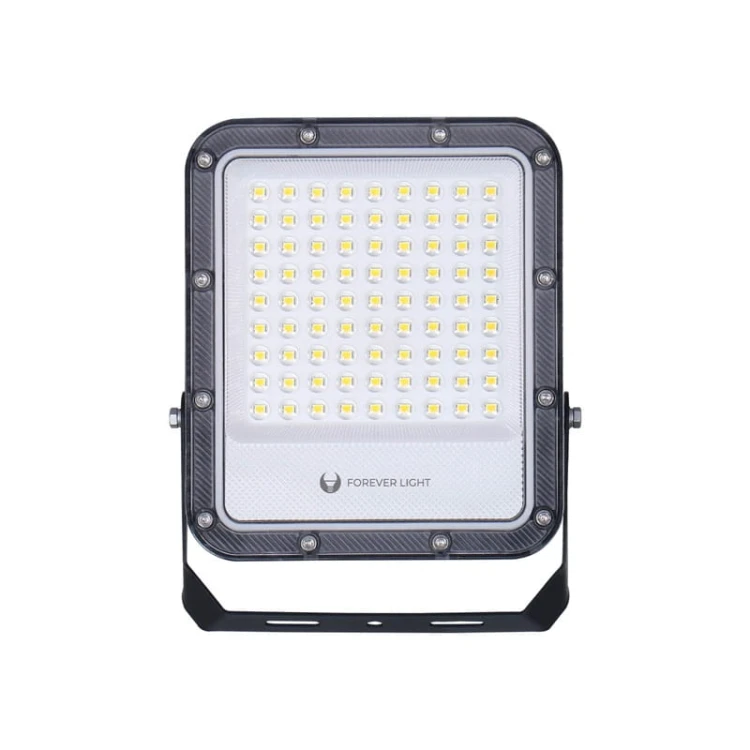 Naświetlacz LED PROXIM+ 50W IP65 - biały zimny