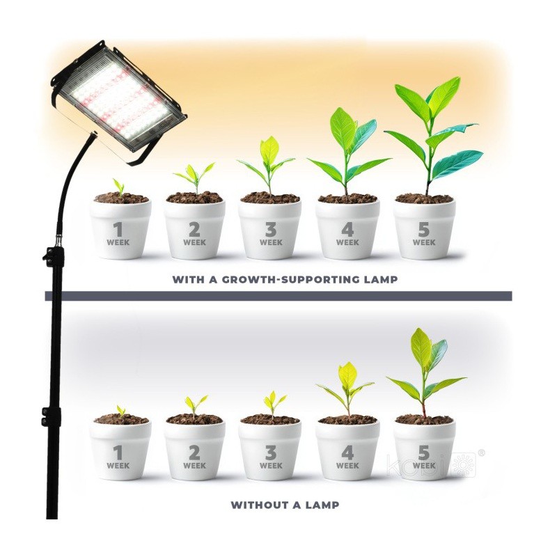 Lampa do wzrostu roślin LED Firon 45W + statyw