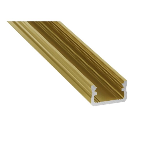 PROFIL nawierzchniowy złoty mat anodowany typ A 2 metry