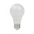 Żarówka LED E27 24V 10W neutralna 4000K 1000lm A60