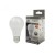 żarówka 10W 24W neutralna