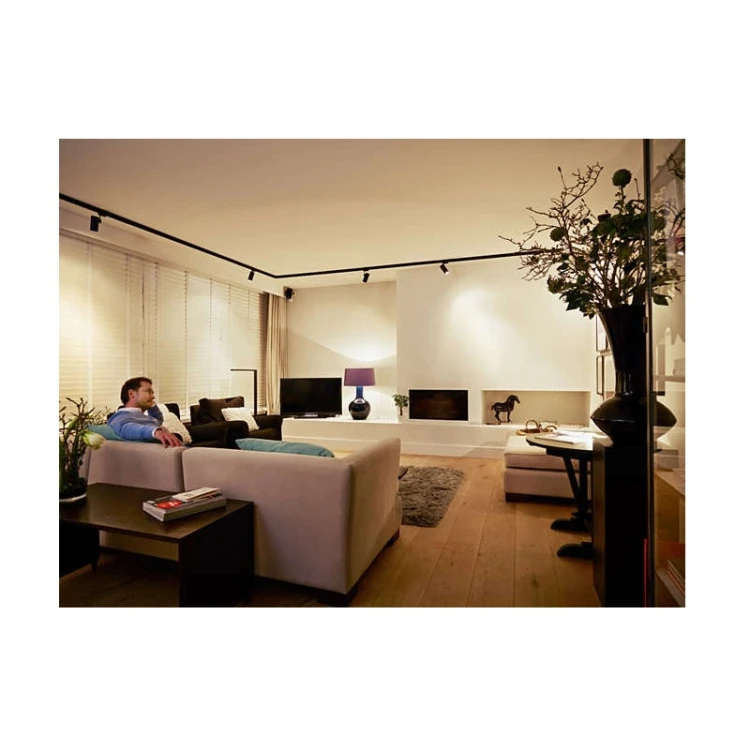 Żarówka LED GU10 4,6W = 50W 355m 2700K Ciepła 36° PHILIPS