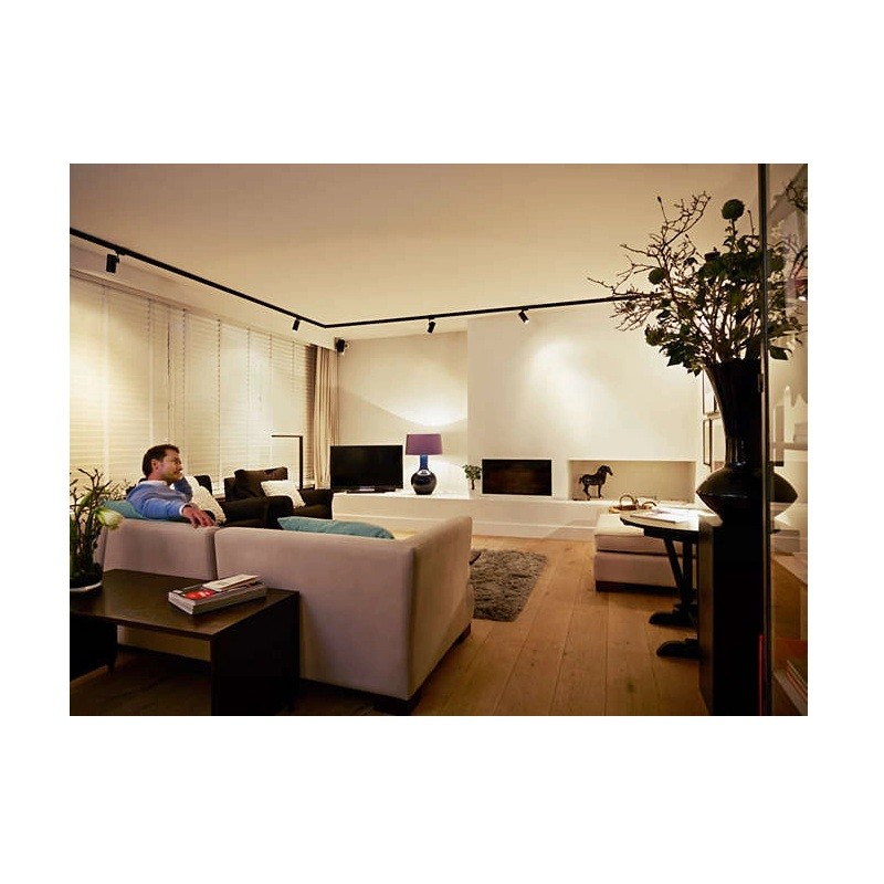 Żarówka LED GU10 4,6W = 50W 355m 2700K Ciepła 36° PHILIPS