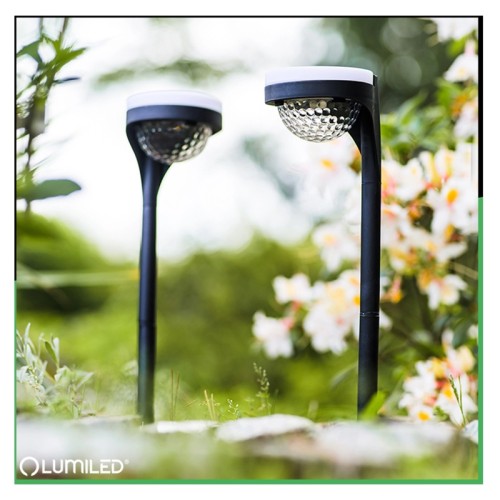 2x Lampa Solarna Ogrodowa LED LILA Wbijana Zewnętrzna Dekoracyjna 3000K LUMILED
