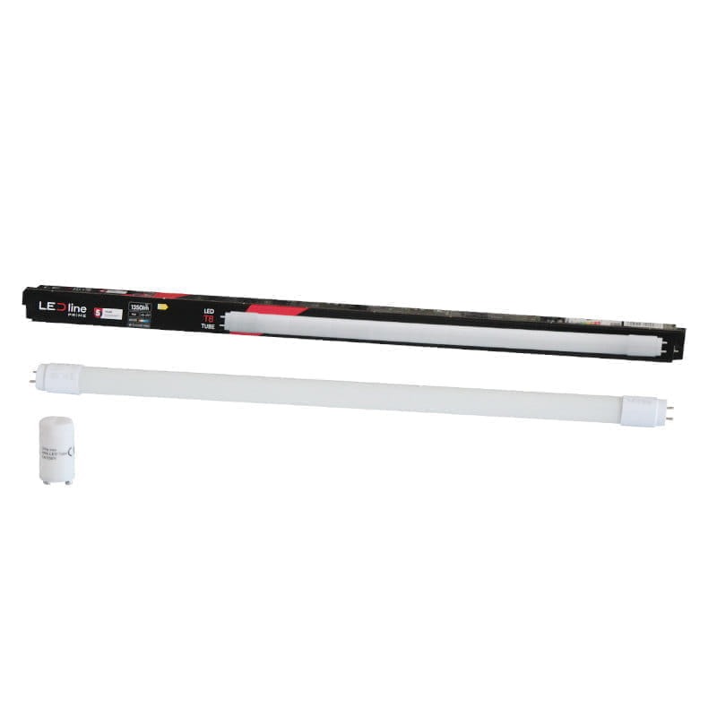 Świetlówka tuba LED T8 9W 60 cm biała zimna - 1-stronne zasilanie