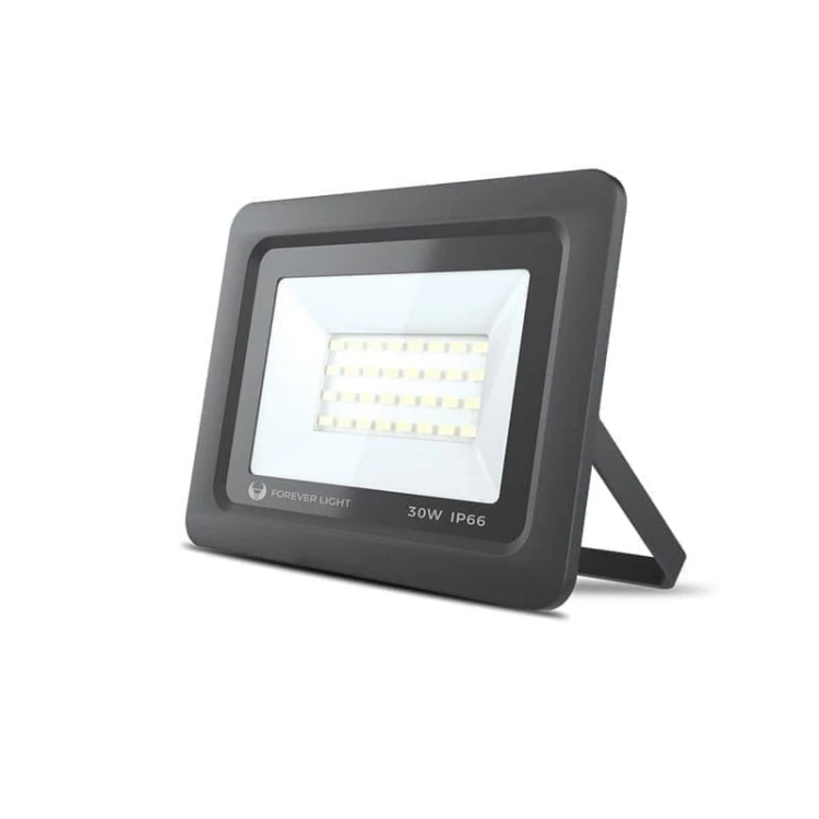 Naświetlacz LED PROXIM 30W - biały zimny