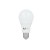 forever_Light__RTV003463_1