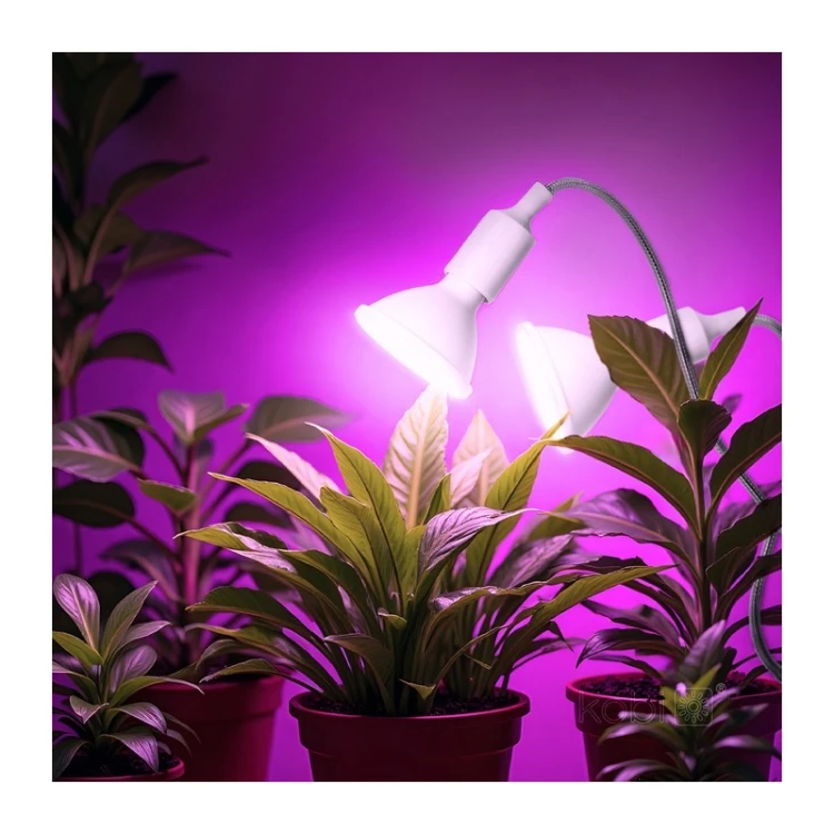Lampka PLANTY CLIP W DUO 2xE27 z klipsem