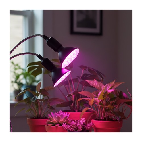 Czarna lampka biurkowa PLANTY CLIP W DUO na 2 żarówki E27