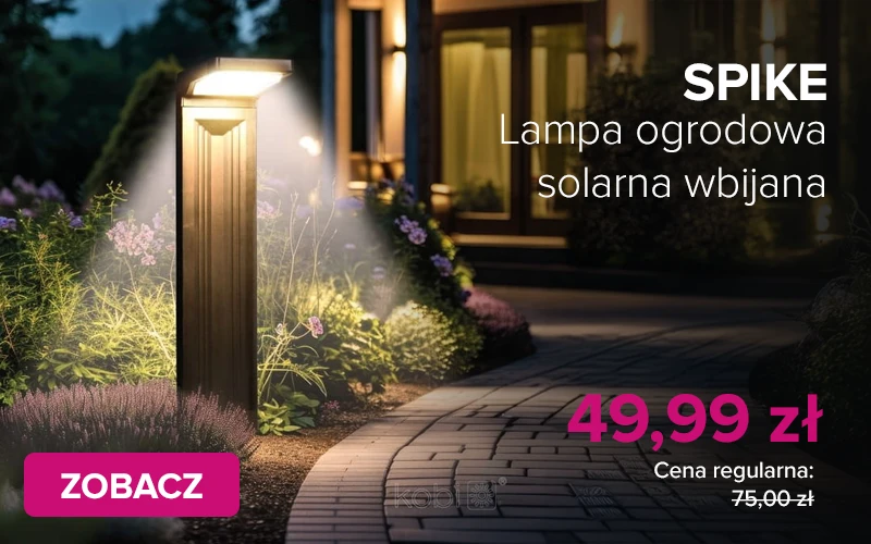 Zdjęcie banera lewego