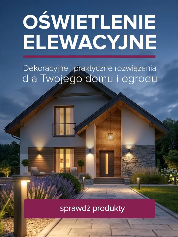 oswietlenie  elewacyjne led