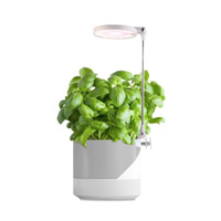 Lampy do wzrostu roślin